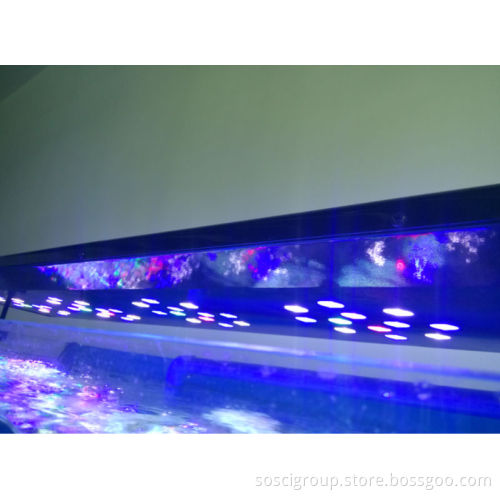 Intelligent LED Aquarium Light with Remote Control (SL-A008)